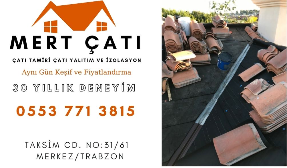 trabzon-çatı4